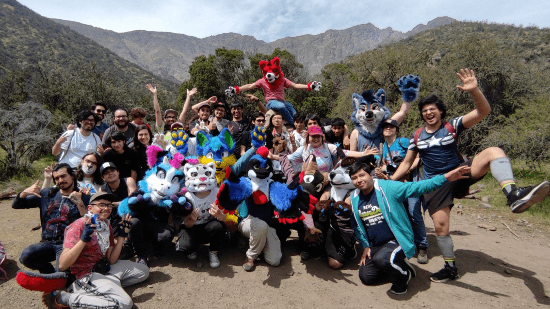 Furcrew 1-1 image